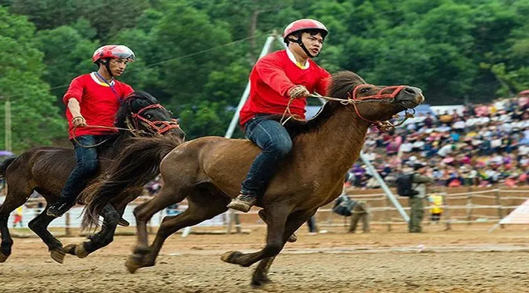 Đua Ngựa 23Win: Bí Ẩn Đằng Sau Tựa Game Đỉnh Cao Gây Sốt Mạng Online